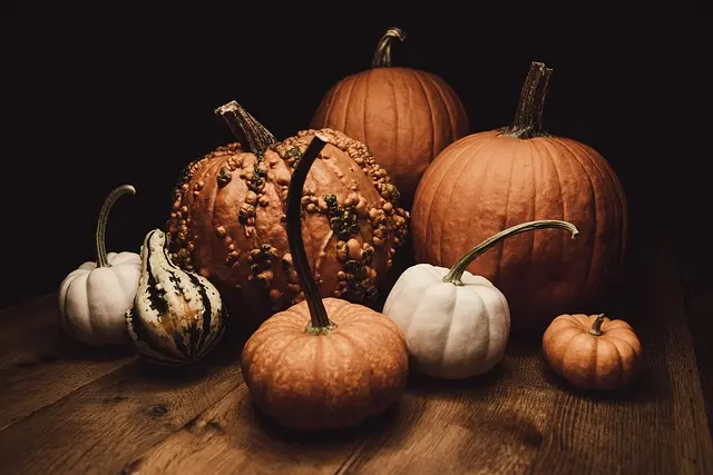 Comment créer un jeu d'Halloween captivant pour vos invités