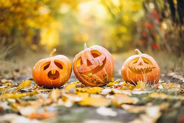 Comment réussir votre décoration d'Halloween en 5 étapes
