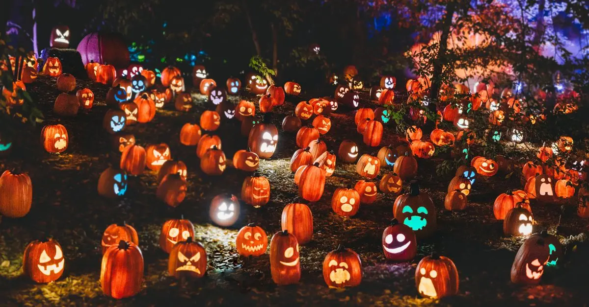 Comment choisir le bon éclairage pour une ambiance Halloween