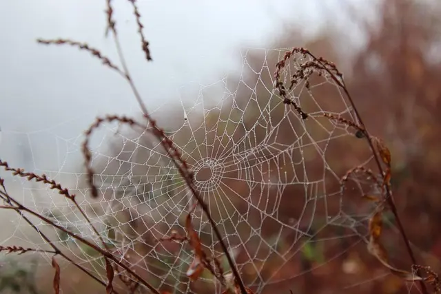 Comment réussir votre décoration d'Halloween en quelques étapes