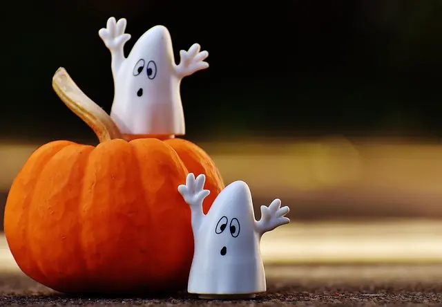 Comment faire des décorations d'Halloween personnalisées