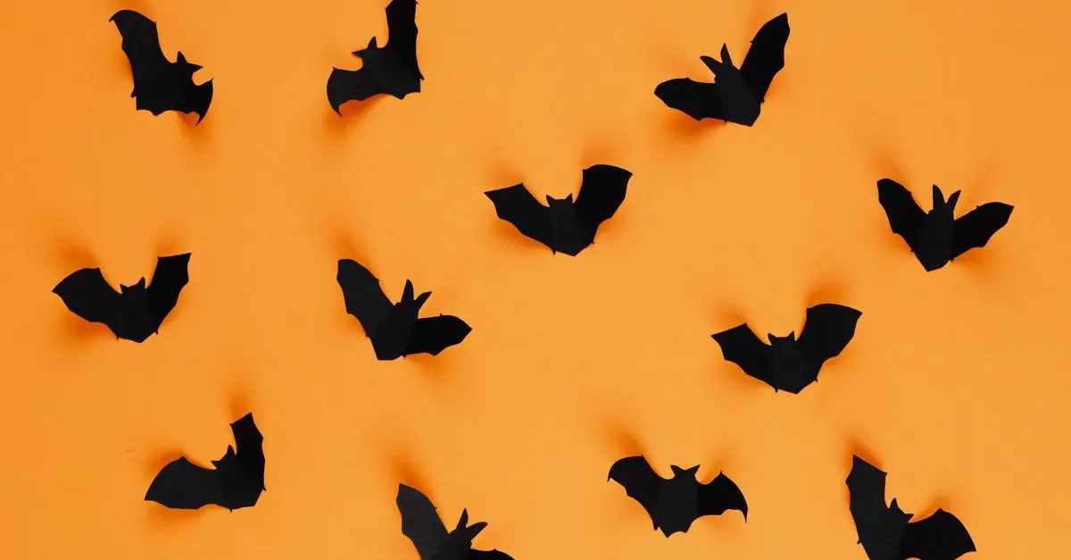 Pourquoi les chauves-souris sont un symbole d'Halloween